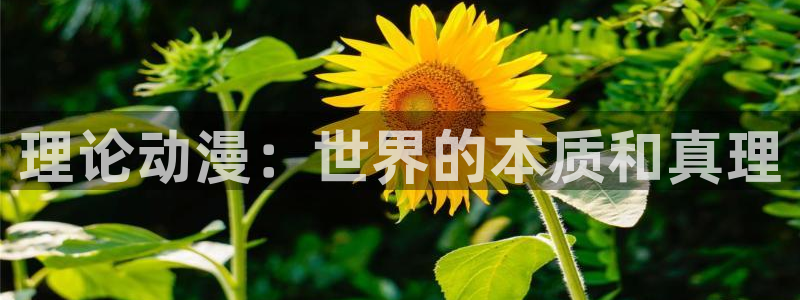 58动漫网站：理论动漫：世界的本质和真理