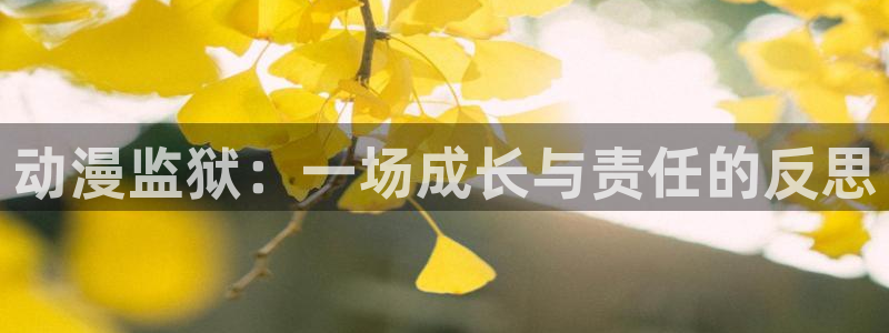 58动漫网站官网首页